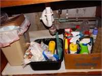Contents under sink- cleaners, rags, etc.