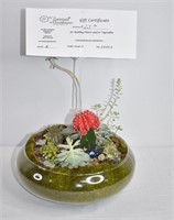 Succulent Planter & $25 Gift Certificate