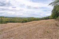 3312 PAPER MILL ROAD, SINKING SPRING (42.3 ACRES)