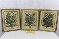 Trio of Framed Robert Furber Floral Prints