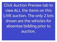 Click Auction Preview Tab