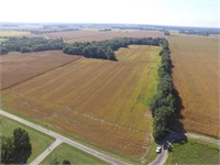 TRACT2 - 33.5 ACRES +/- Mostly TIllable Farmland