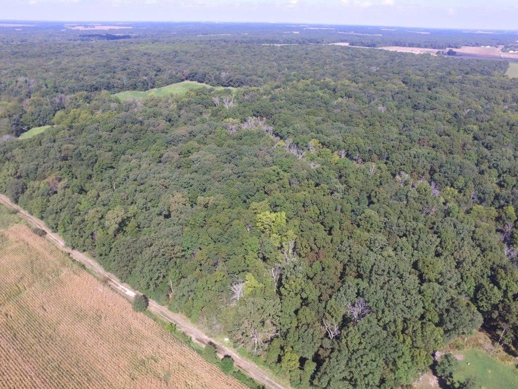 Clay County, IL 128.81 Acres Farmland and Woods