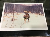 LE" Winter Bull" Signed D Harty Print - 5/10