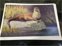 LE "River Otter" Signed D Harty Print