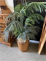 Palm Tree w/ Bamboo Planter