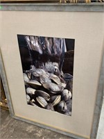 LARGE FRAMED CLAMS PHOTO