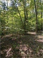 36 ± Acres + Cabin | IN | Hunting / Rec Land