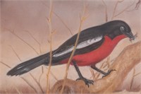 Original Sheila Bainbridge Crimson Shrike Painting