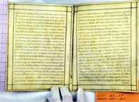 1618 Diploma in Latin