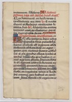 15th Century Illuminated Manuscript Page