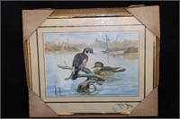 Framed E. Rambow Print of Woodducks with Flying