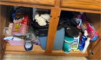 Contents Under Kitchen Sink