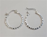 $100 Silver Earrings
