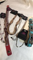 Costume jewelry “Paparazzi” new w/tags, necklaces