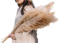 40" inch 5 Stems Natural Dried Pampas Grass