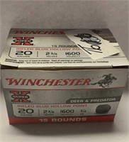 Winchester Rifled slug hollow point