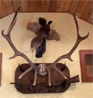 Large Elk Horn Gun Rack