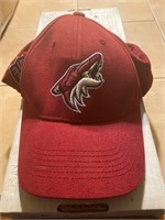 Phoenix Coyotes Baseball Hat