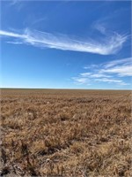 Cheyenne County Co. Farmland