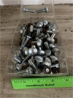 Carriage bolts, 5/16x 1 in. There are nuts in the