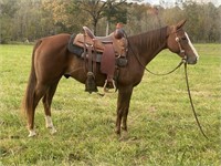 Remin Rambo 2006 Sorrel AQHA/NRHA Gelding