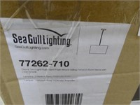 Sea Gull Lighting ceiling light fixture