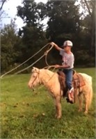Curly  9yr old Pony Gelding    VIDEO