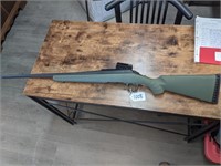 GS - Ruger 204 Rifle