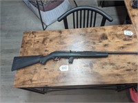 GS - Savage Arms 22 Long Rifle