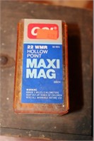 .22 Cal Maxi Mag