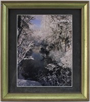 Thompson, Untitled, Snow Covered Branches, Print