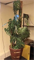 Monstera Leaf Plant, 50” Tall