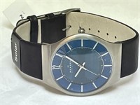 SKAGEN Blue Dial  Men's solar quartz watch