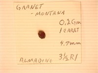 Garnet; Montana; Gemstone;