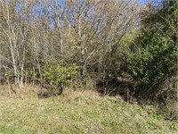 1.03 Acres-Residential Lot on Andy Falls Rd