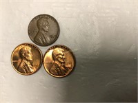 Three Lincoln wheat pennies