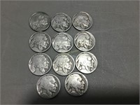 11 Buffalo Nickels
