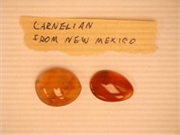 Carnelian; New Mexico; Polished; 2.1 grams;