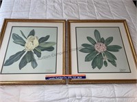 2 framed C. Don Ensor prints