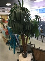 Tall fern tree