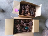 2 boxes pine cones
