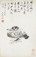 Study of a Bird – Qian Shoutie (1897 – 1967)