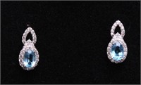 4ct. Swiss Blue Topaz Earrings