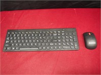 Lenovo Keyboard and Mouse