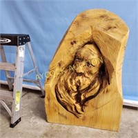 Old Man Face in log
