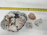 vase of sea shells
