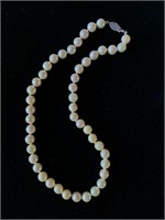 Cultured Pearl Necklace ( Sterling Clasp 16")