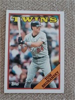 Twins bat over the T baseball cards