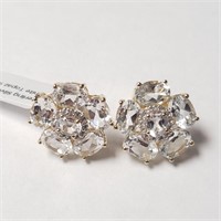 $100 Silver White Topaz(9.6ct) Earrings